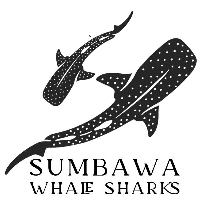 Sumbawa Whale Sharks